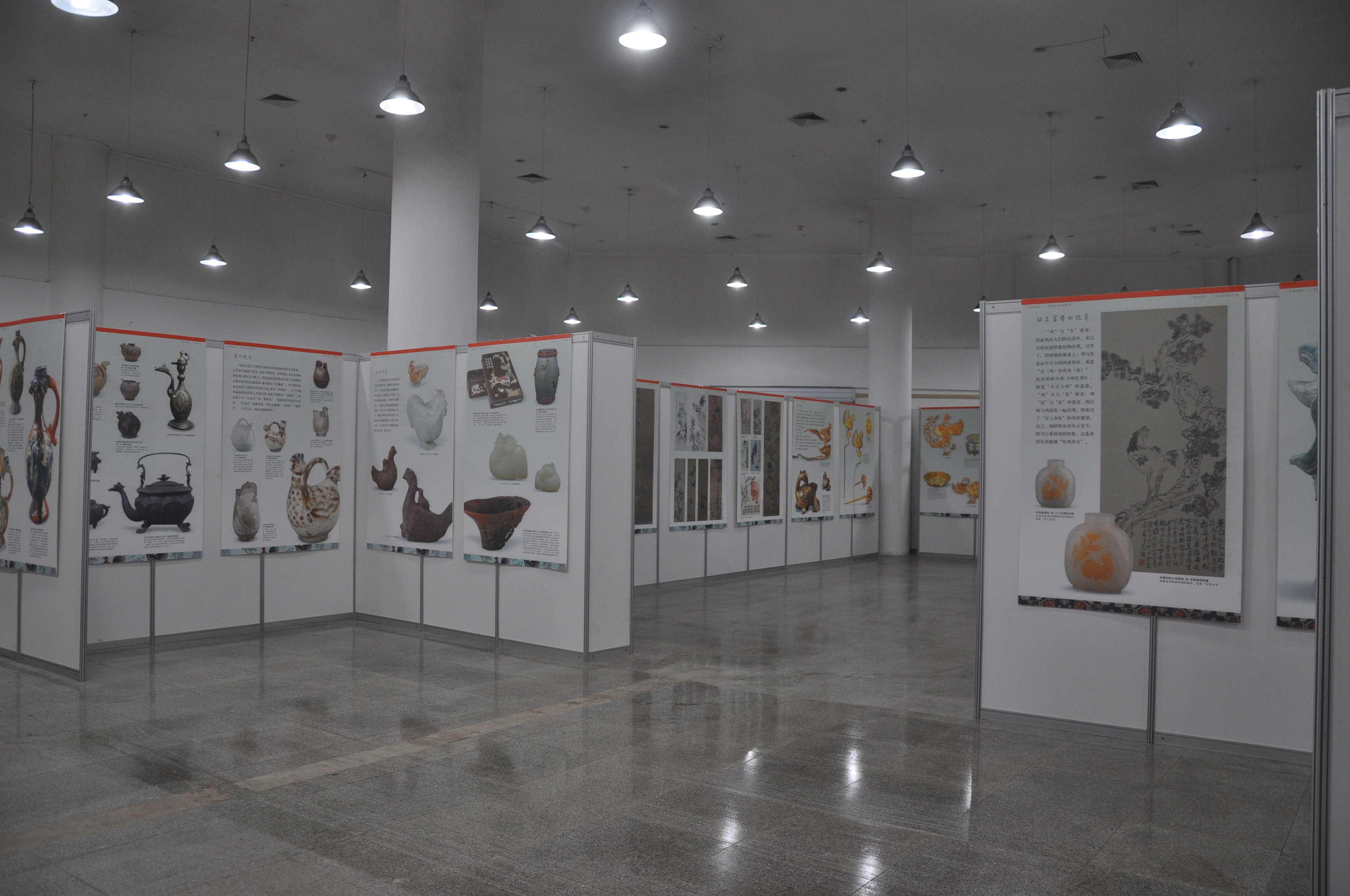 金鸡报晓丁酉新春鸡题材文物图片联展在市博物馆开幕